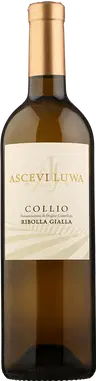 2024 Ribolla Gialla Collio Goriziano DOC