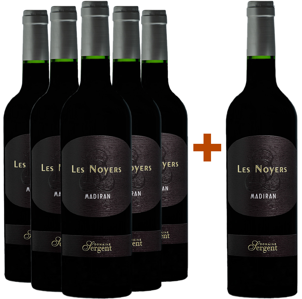 5+1 Les Noyers Madiran AOP