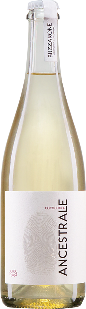 2024 Ancestrale Cococciola Frizzante Terre di Chieti IGP BIO