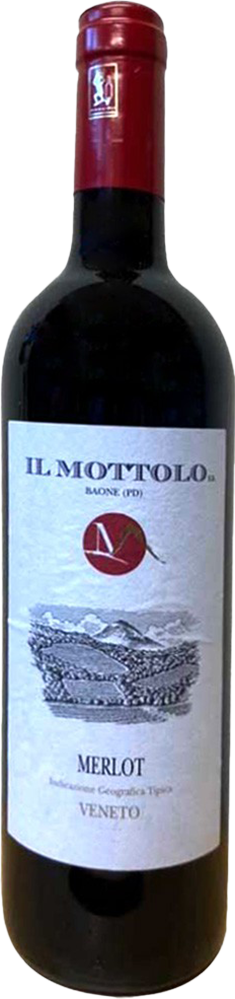 2020 Merlot Veneto IGP