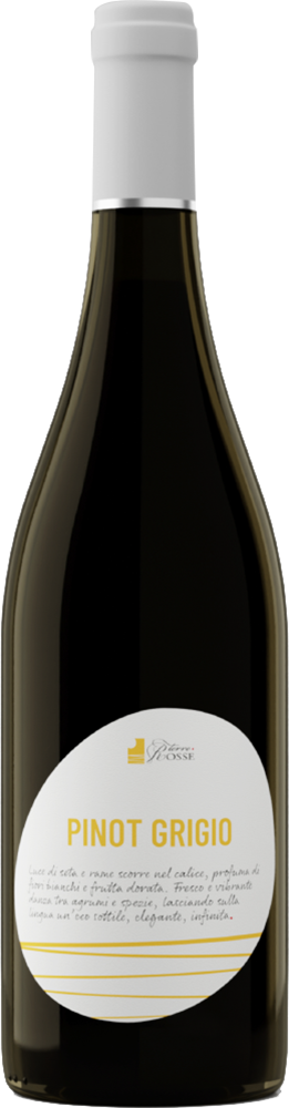 2024 Pinot Grigio Friuli DOC