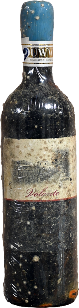 2020 Volante UnderWaterWine Bolgheri DOC