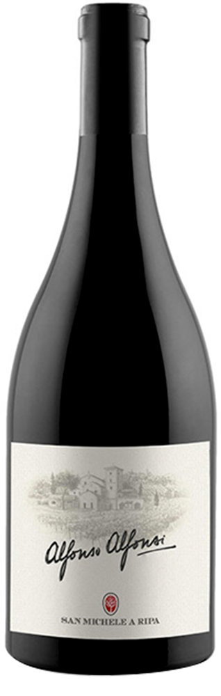 2015 Alfonso Alfonzi Marche IGP