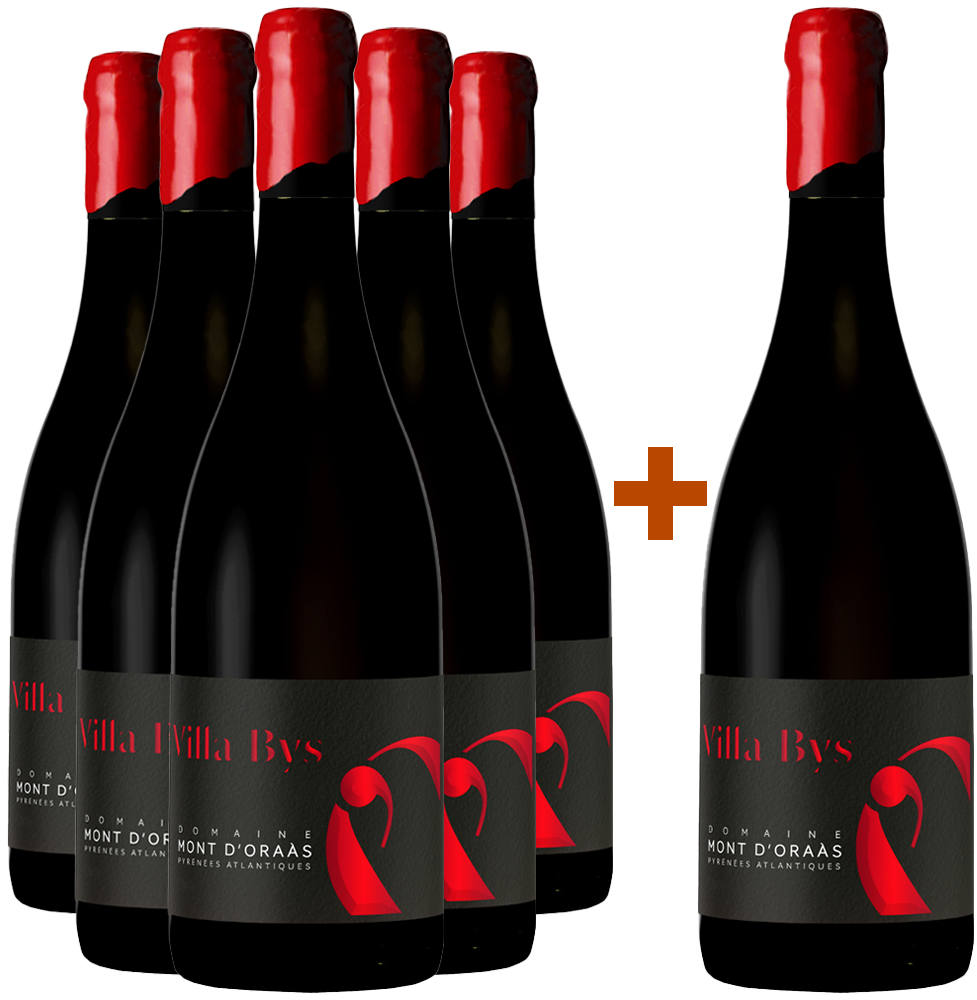 5+1 2020 Cuvée "Villa Bys" Bio BIO