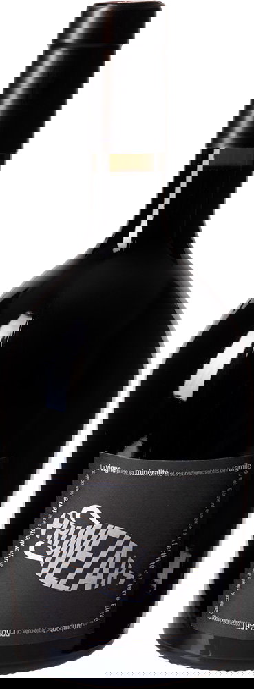 2024 Cuvée "Prunelart Amphore" Gaillac AOP BIO