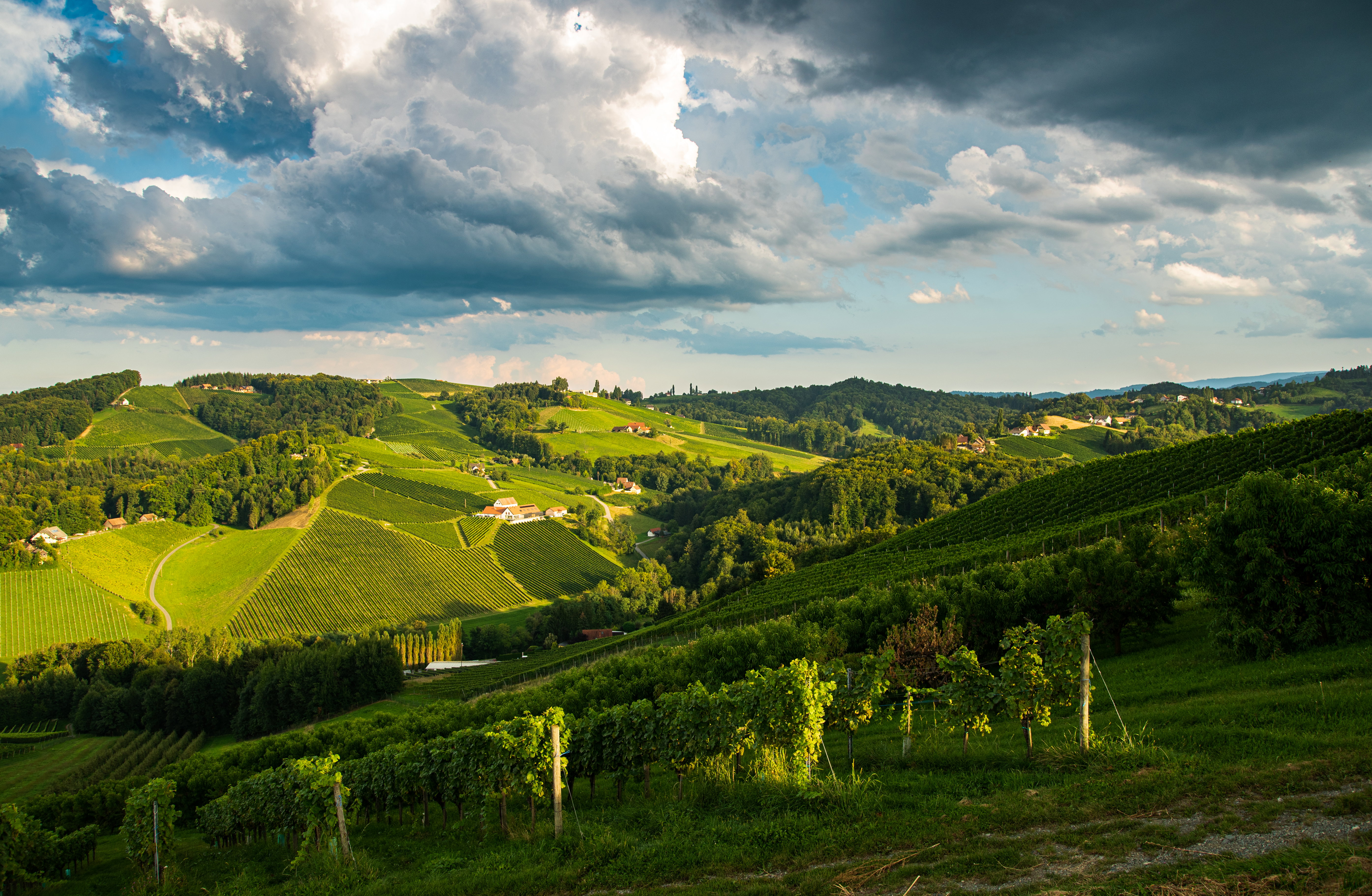 banner_Alto Adige