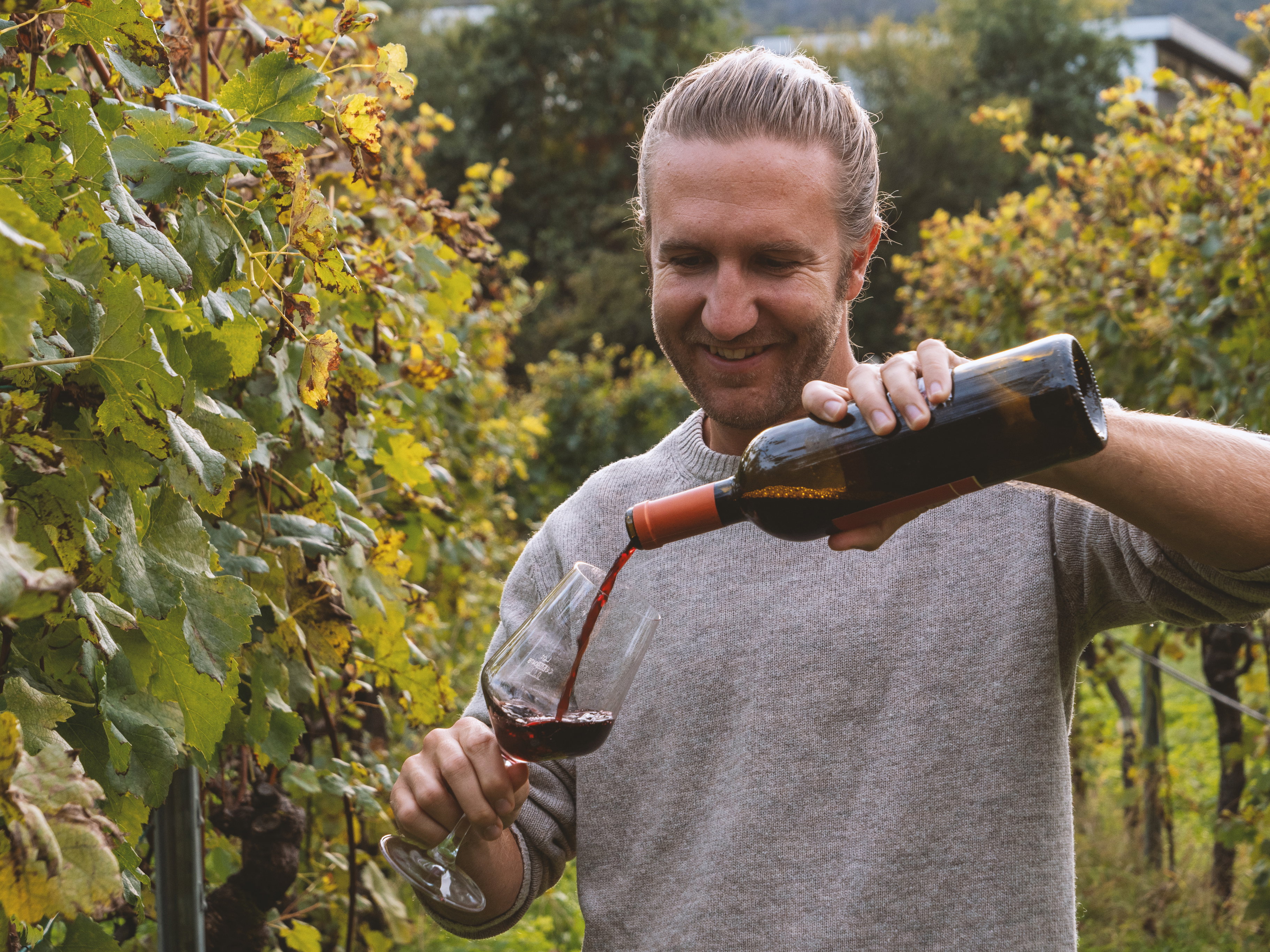 Degustazione di vino rosso in vigna – vini ideali per accompagnare una grigliata