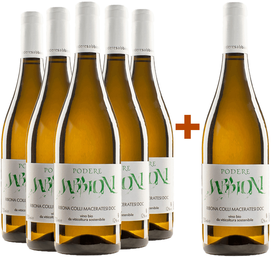 5+1 Ribona Colli Maceratesi DOC BIO