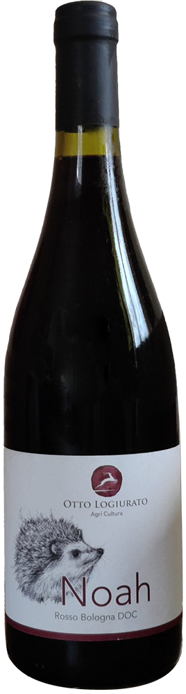 2023 Noah Colli Bolognesi DOC