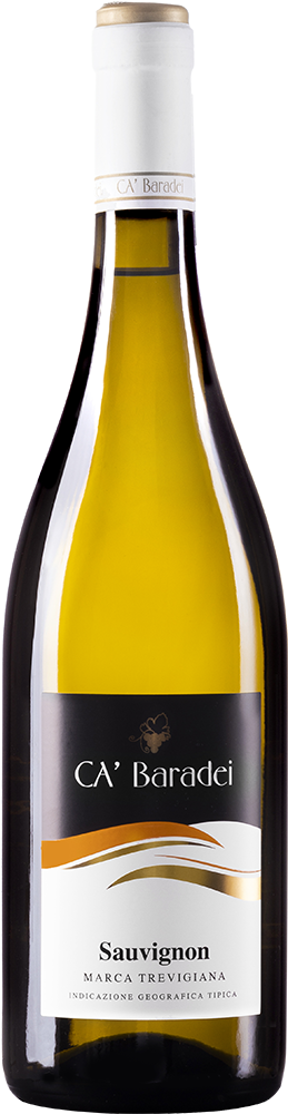 2024 Sauvignon Marca Trevigiana IGP