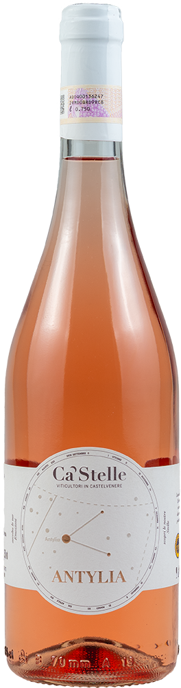 2022 Antylia Beneventano IGP BIO