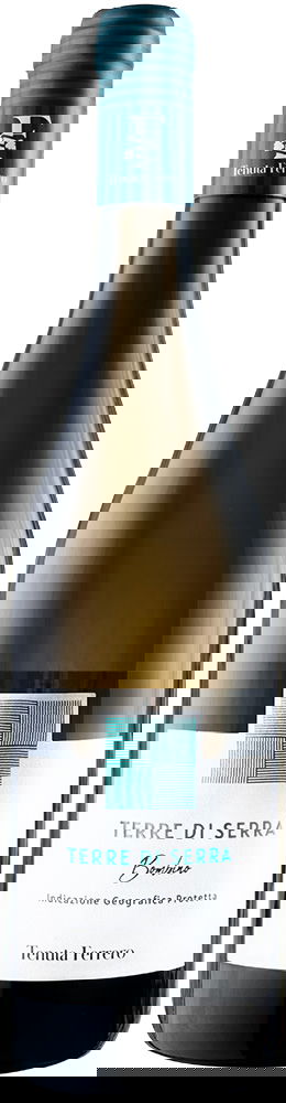 2024 Bombino Bianco Puglia IGP