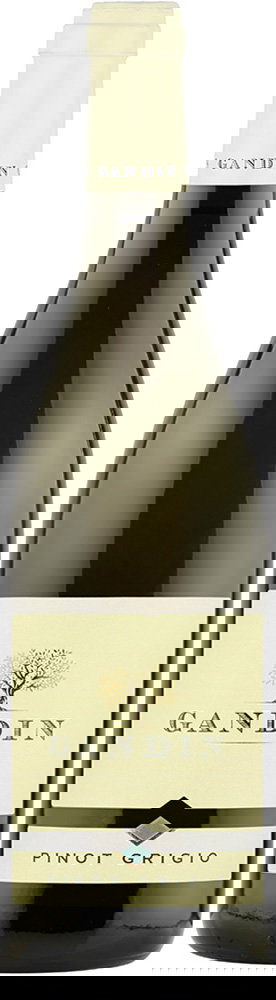 2024 Pinot Grigio Friuli Isonzo DOC