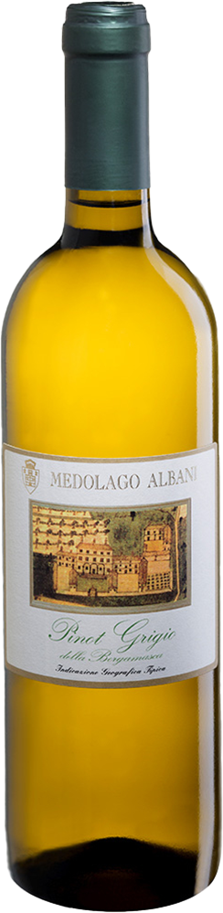 2024 Pinot Grigio della Bergamasca IGP