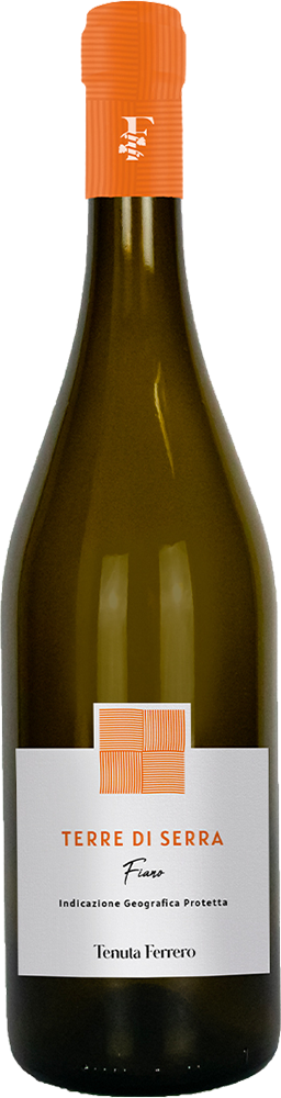 2024 Fiano Puglia IGP