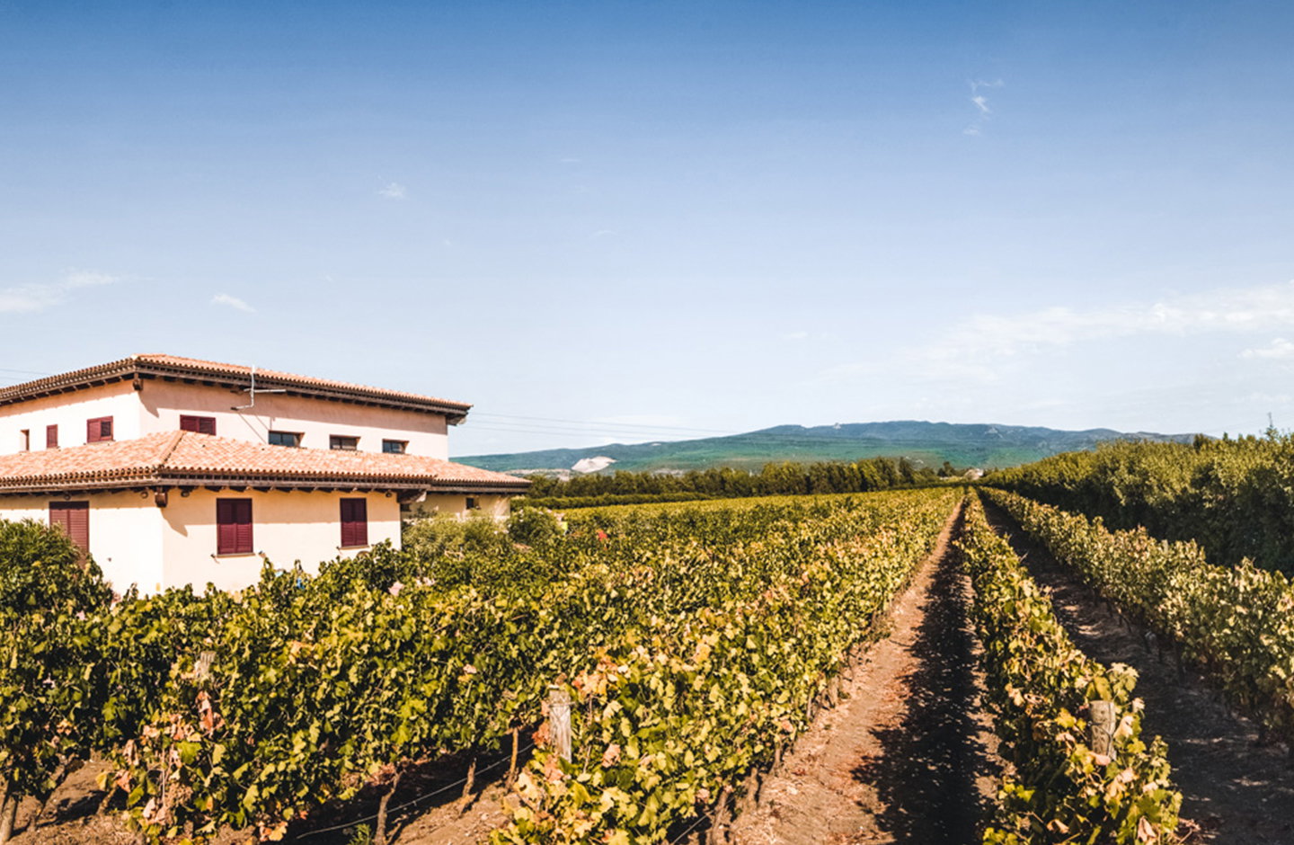 Cantina del Bovale
