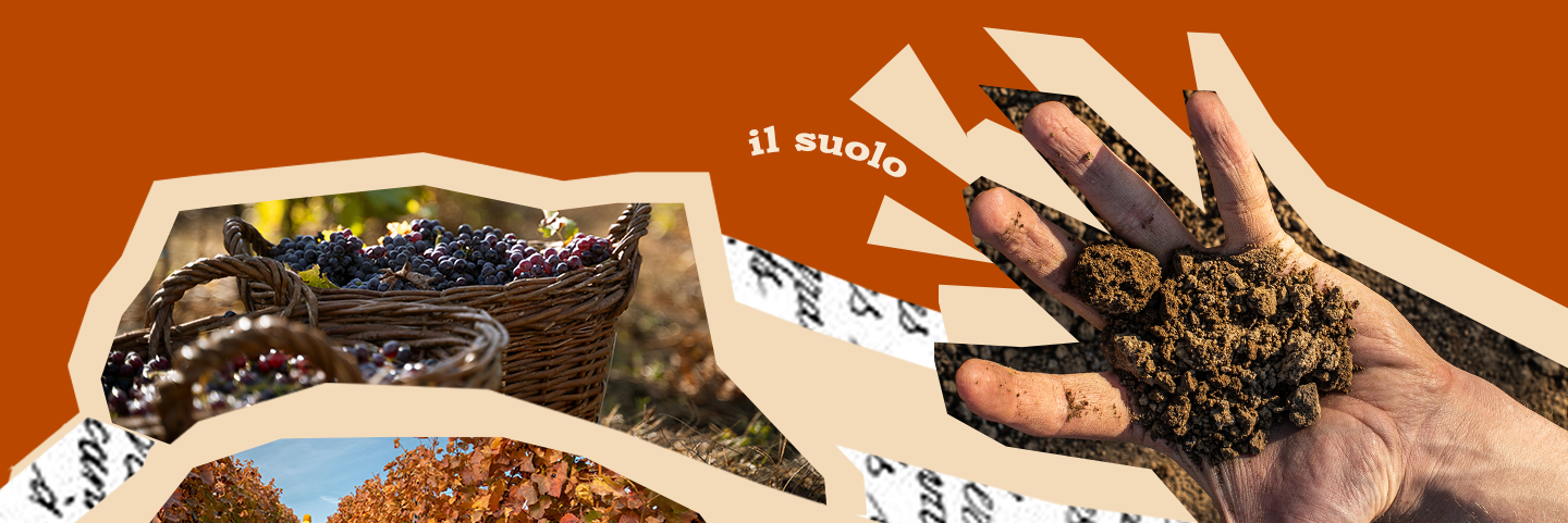 Banner descrittivo sul suolo e le sue influenze