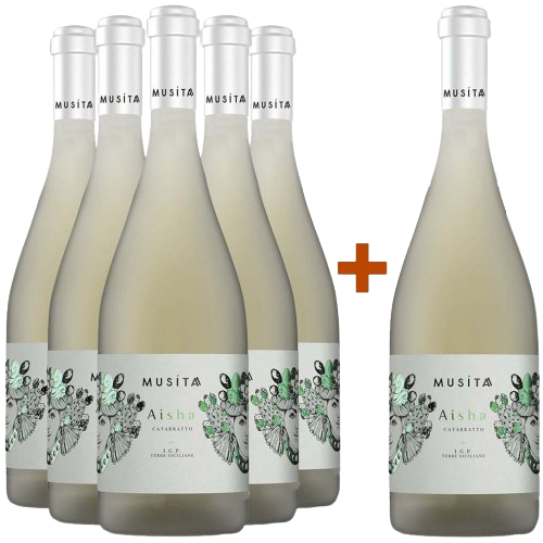 5+1 Aysha Catarratto Terre Siciliane IGP