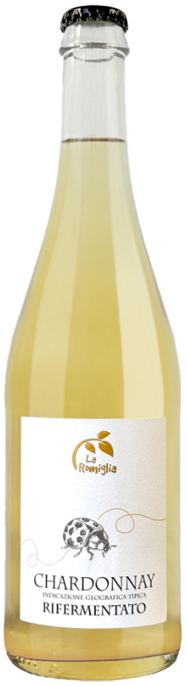 2023 Chardonnay Rifermentato Veneto IGP