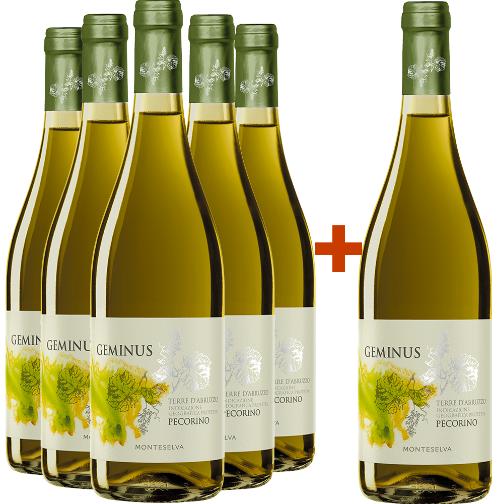 5+1 Geminus Pecorino Terre d'Abruzzo IGP
