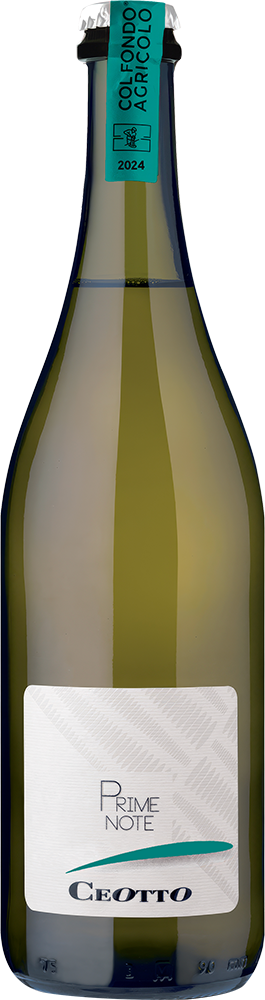 2024 Prime Note Colli Trevigiani IGP