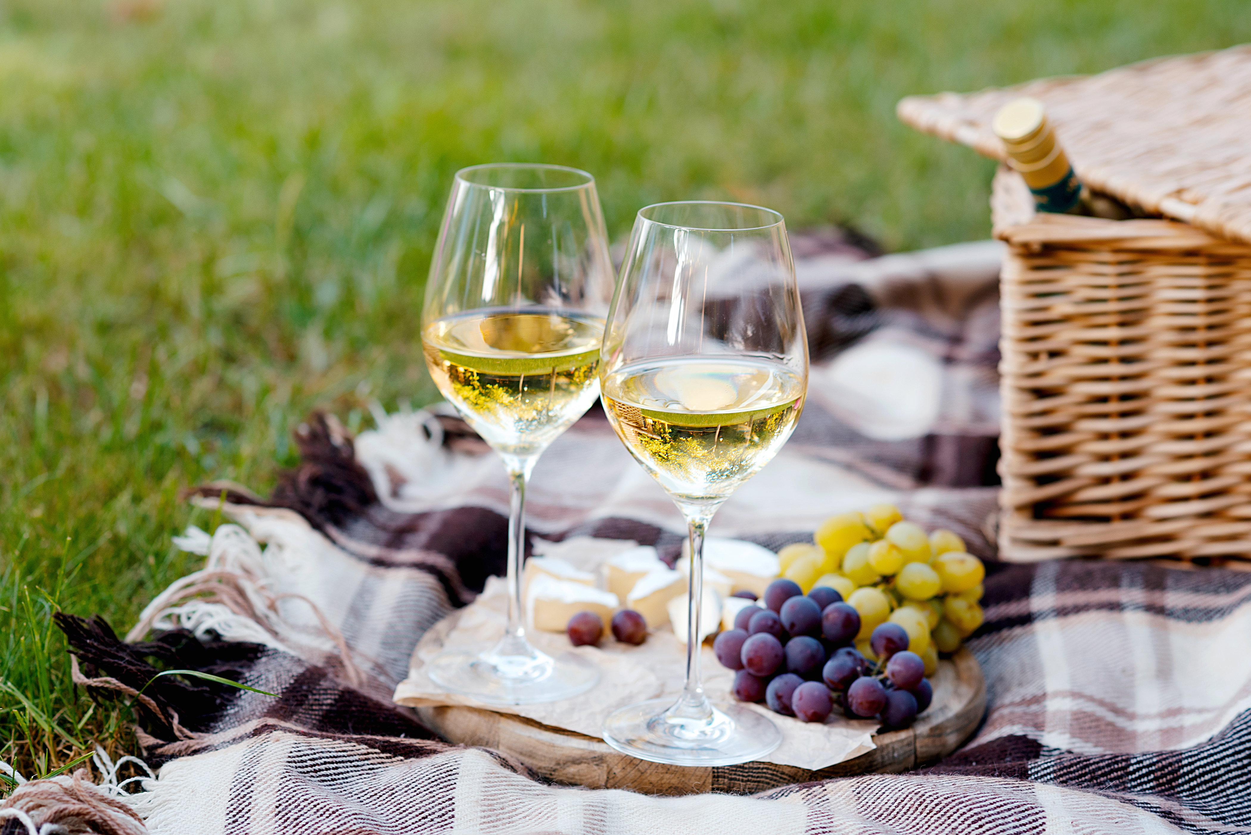 Calici di vino bianco su un plaid per picnic, atmosfera estiva all’aperto