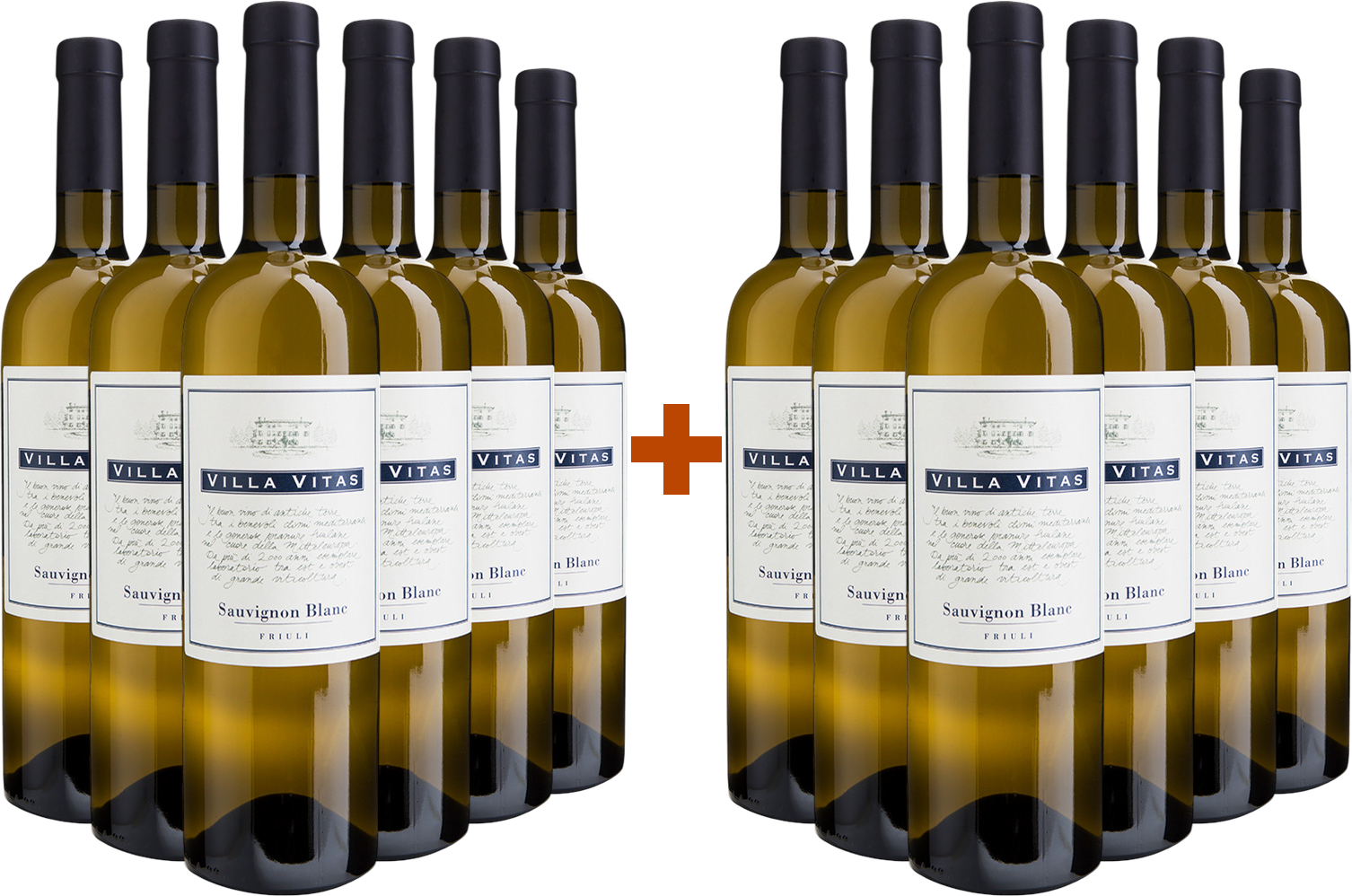 6+6 Sauvignon Friuli DOC