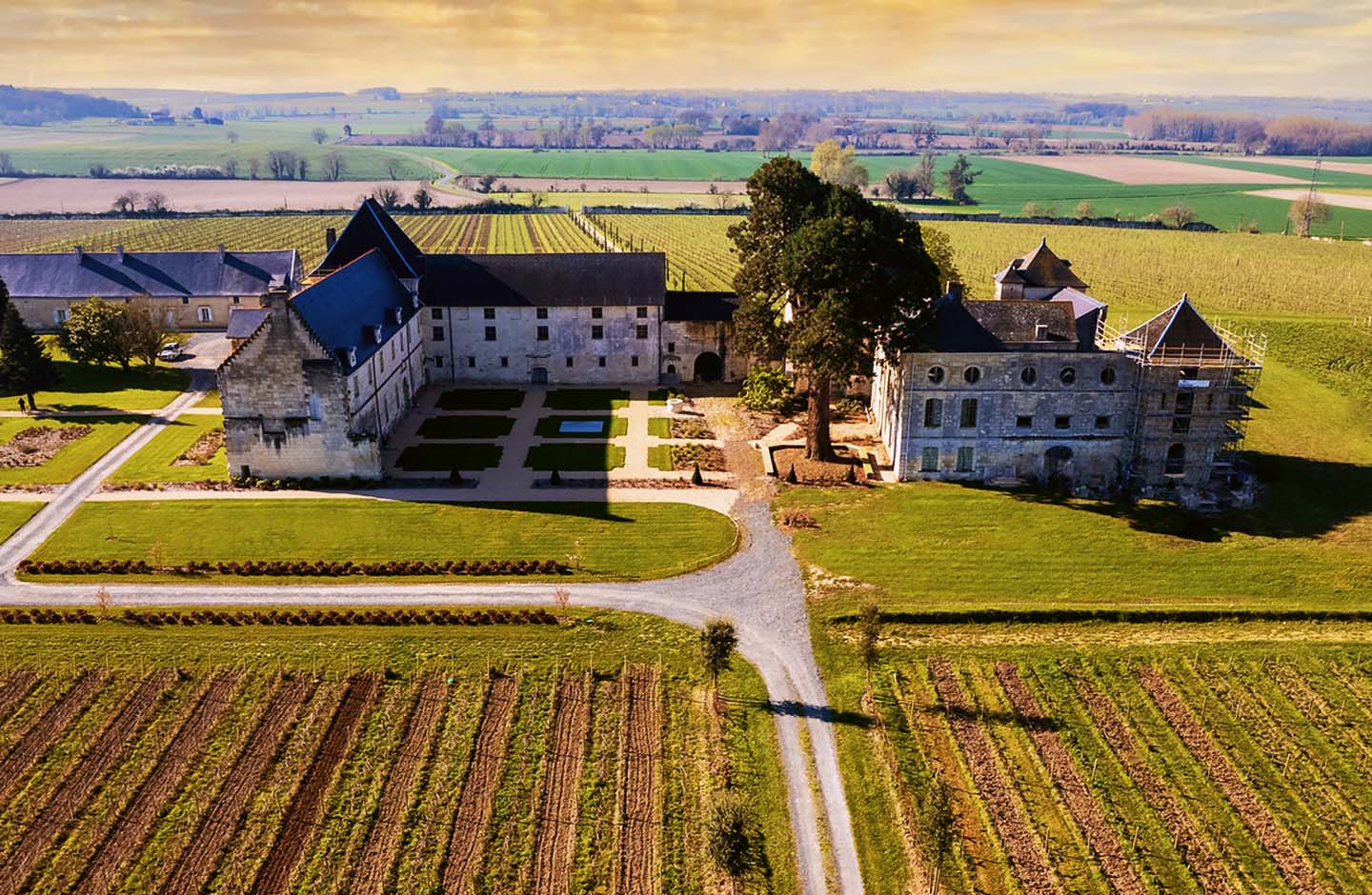 Castello e vigneti nella regione dell'Anjou, cuore della Valle della Loira e della sua tradizione vitivinicola