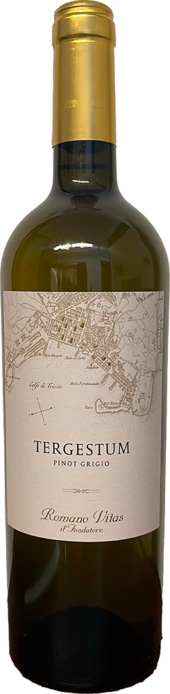 2023 Tergestum Pinot Grigio Friuli DOC