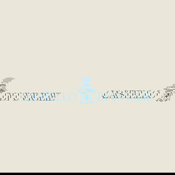 Cantina Castello di Uviglie