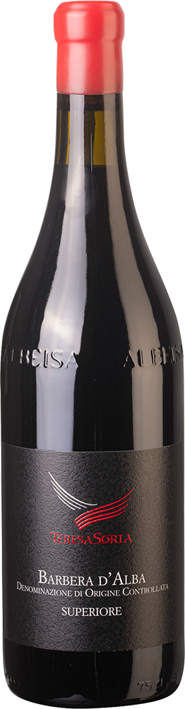 2021 Barbera D'Alba Superiore DOC reflection
