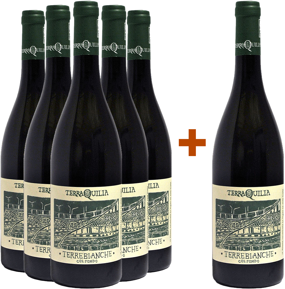 5+1 Terrebianche col fondo Emilia IGP BIO