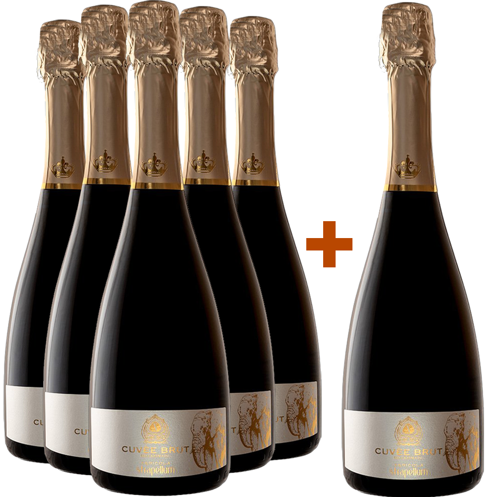 5+1 Spumante Cuvèe Millesimato