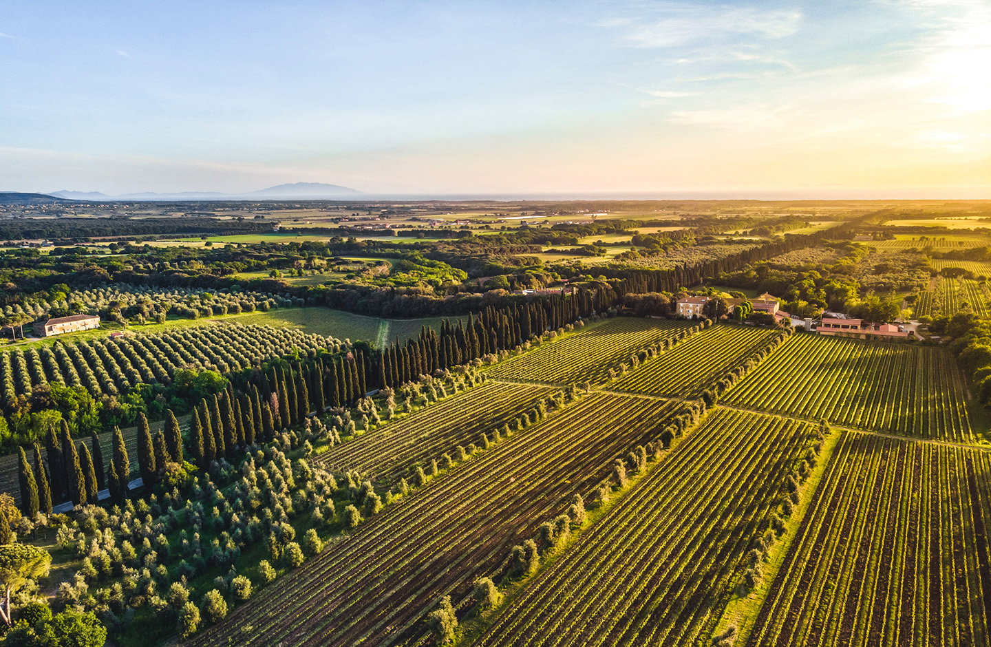Tenuta Baroni del Mestri
