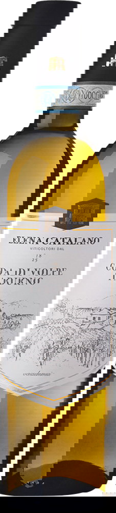 2024 Coda di Volpe Sannio Taburno DOC