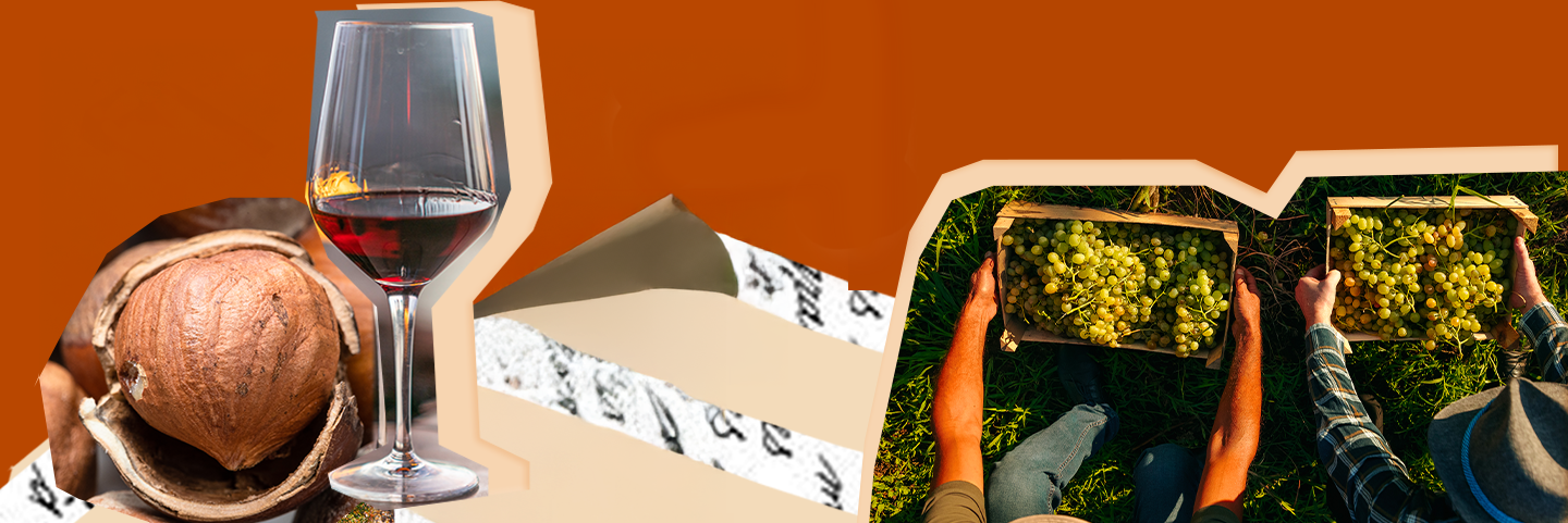 Banner vino dal Piemonte