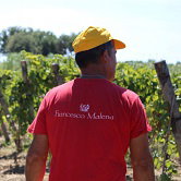 Cataldo Malena