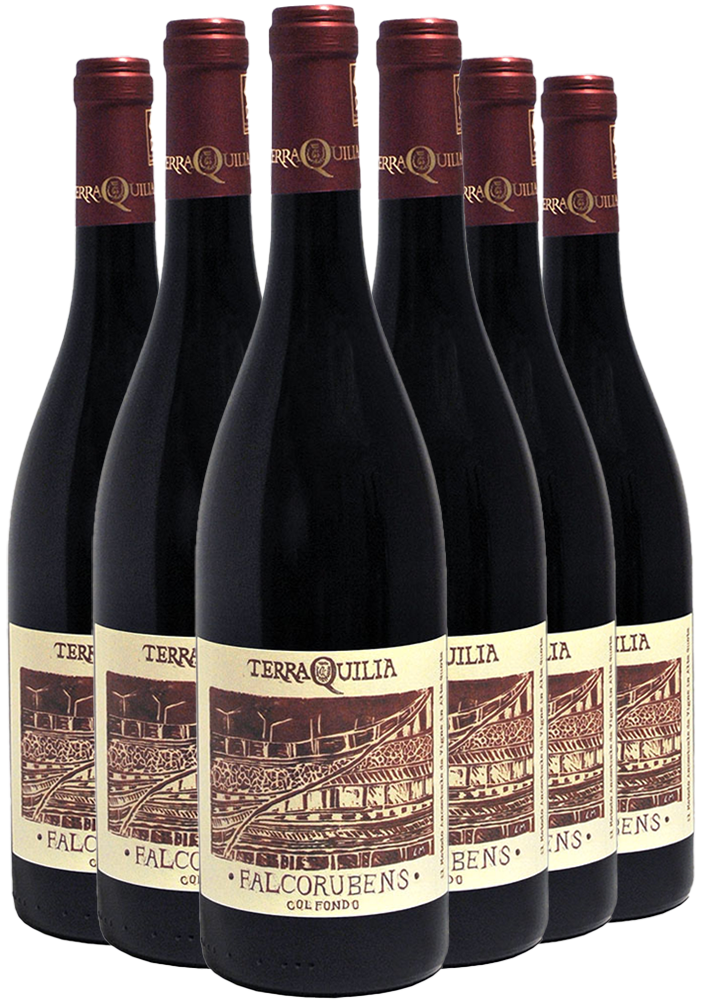 Terraquilia Box Promozionale Falcorubens col fondo Emilia IGP BIO