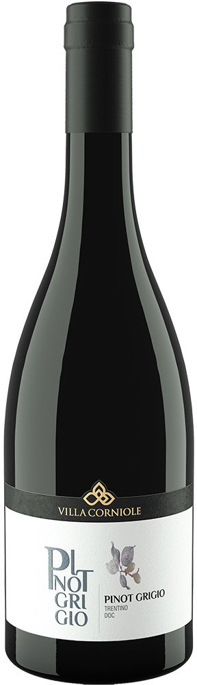 2023 Pinot Grigio Vigneti delle Dolomiti IGP