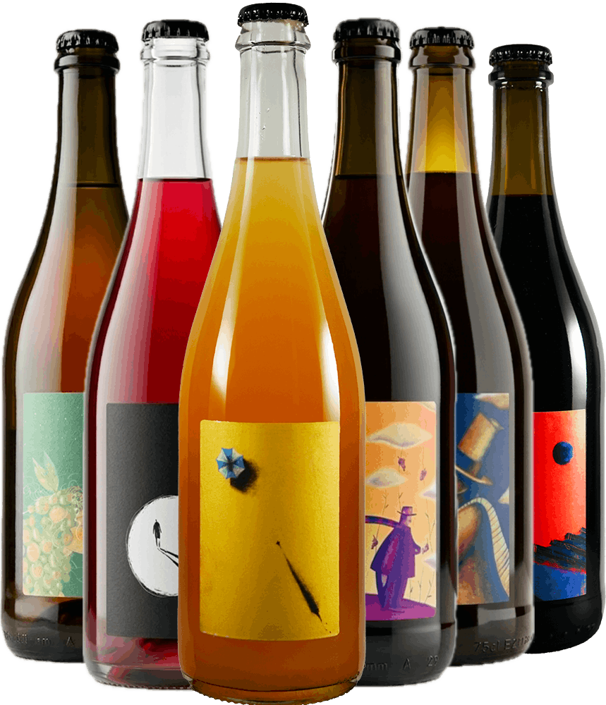 Box Promozionale Viv