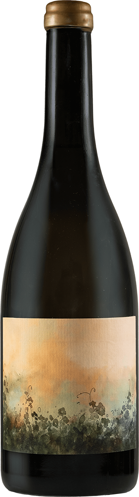 2024 Petricore Marche IGP BIO