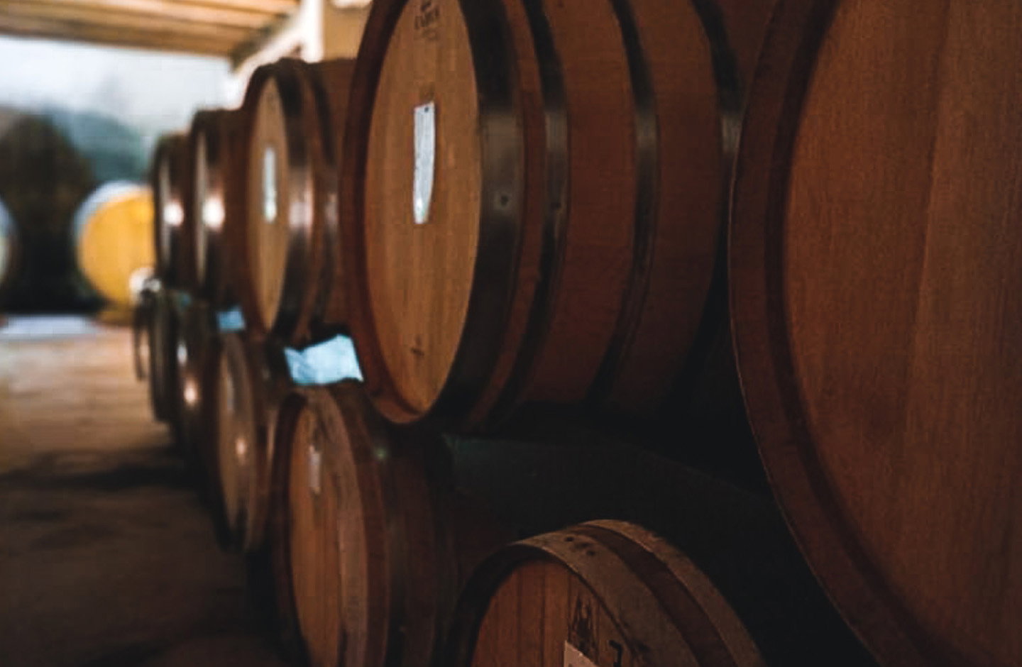 Santillo Azienda Agricola