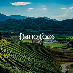 Dario Coos Srl