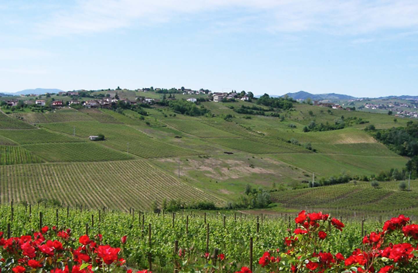 Torre Fornello