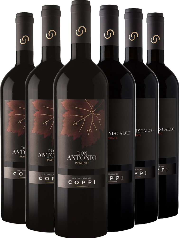Cantina Coppi Box Degustazione Primitivo