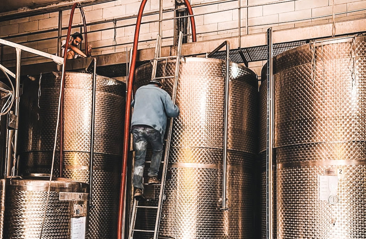 Abbona celso di abbona sergio