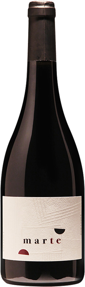 2022 Marte Vallagarina IGP