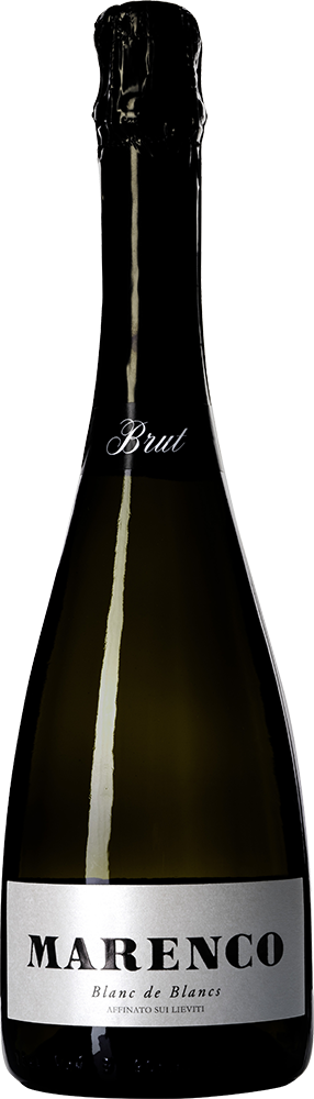 Brut Blanc de Blancs reflection
