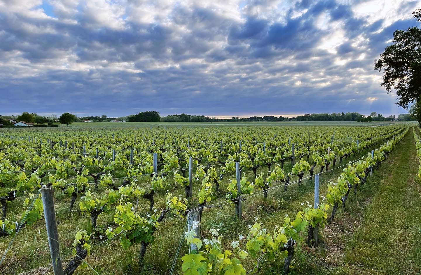 Château la Fon du Berger