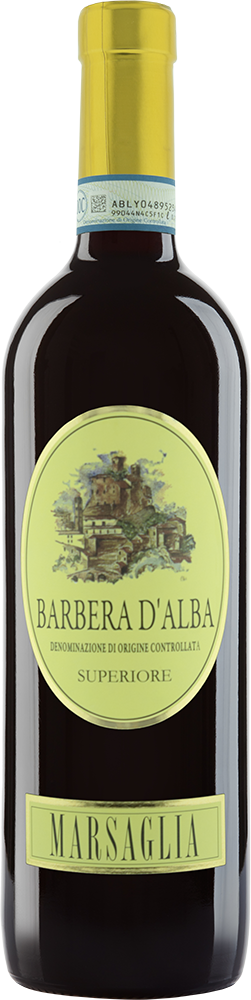 2020 Castellinaldo Barbera d'Alba Superiore DOC